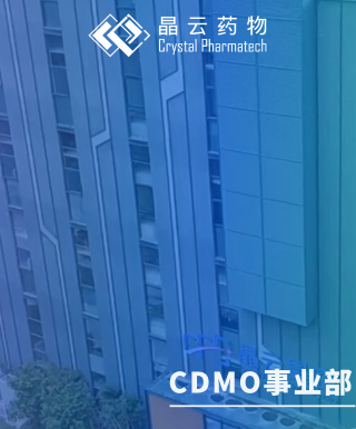 CDMO事業(yè)部 | 晶云星空順利通過(guò)歐盟QP審計